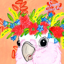 Aussie Critters Galah