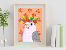 Aussie Critters Galah